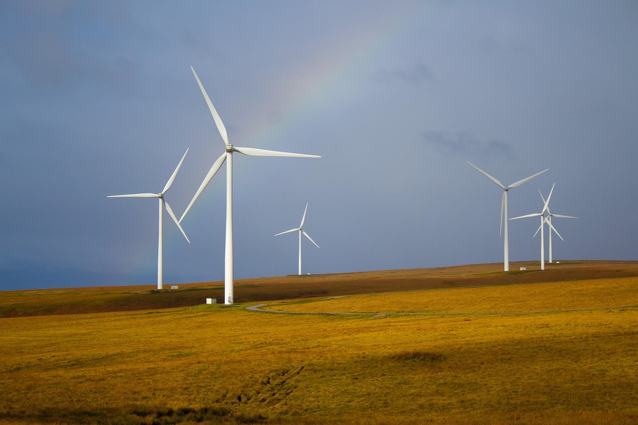 Green skills and the digital classroom: what does training for the clean energy economy actually look like?